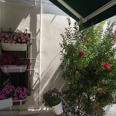 Appartamento La Casina Pistoia Dış mekan fotoğraf